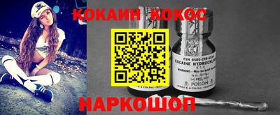 гашик Моздок