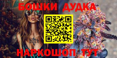 гашик Моздок