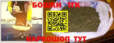 гашик Моздок