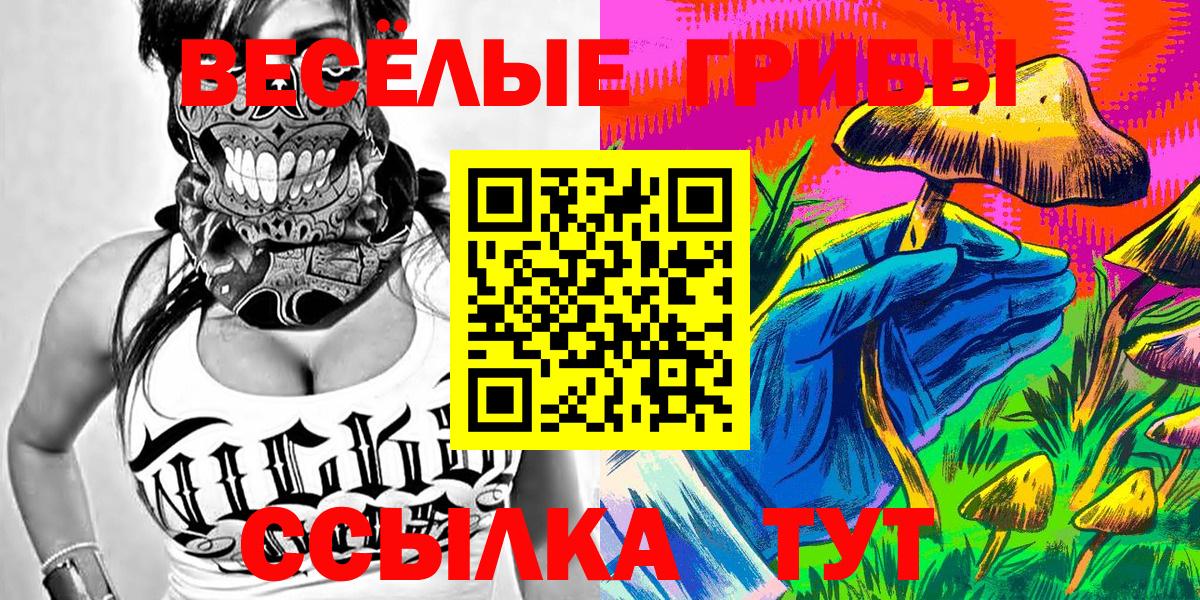 Псилоцибиновые грибы GOLDEN TEACHER Бийск